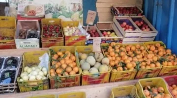 تحديثات الأسعار.. قائمة تكلفة شراء الفاكهة الشتوية داخل أسواق ومحلات الأقصر اليوم